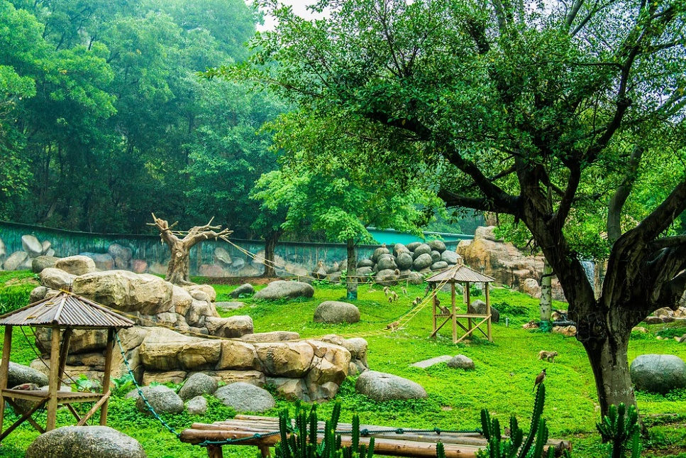 Nanning Zoo
